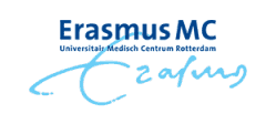 Logo Erasmus